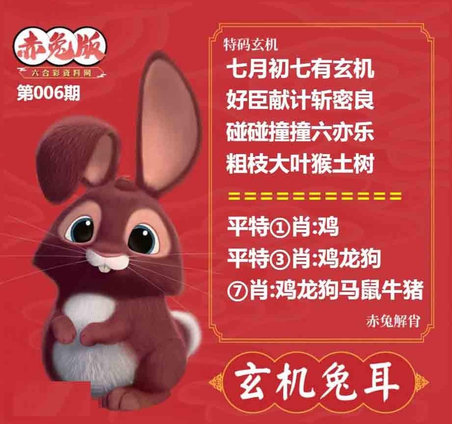 006期玄机兔耳[图]