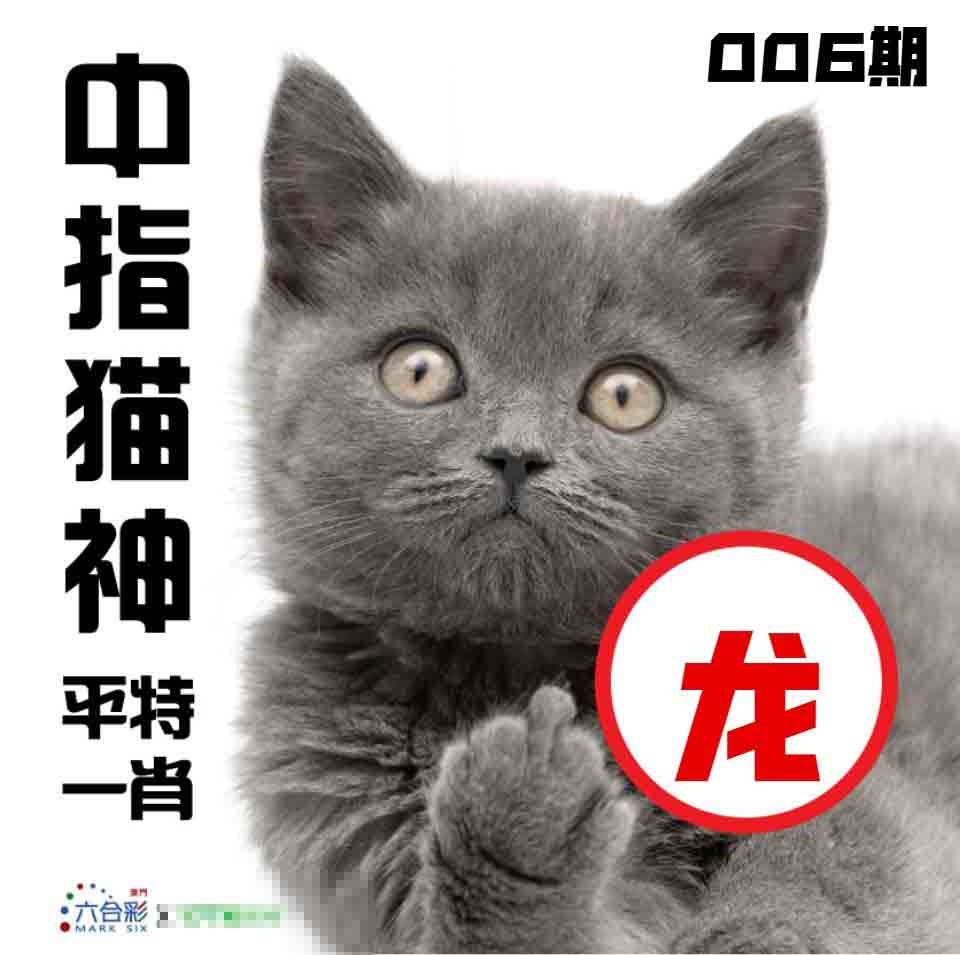 006期中指猫神[图]