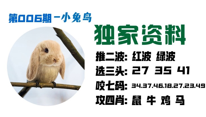 006期小兔鸟[图]